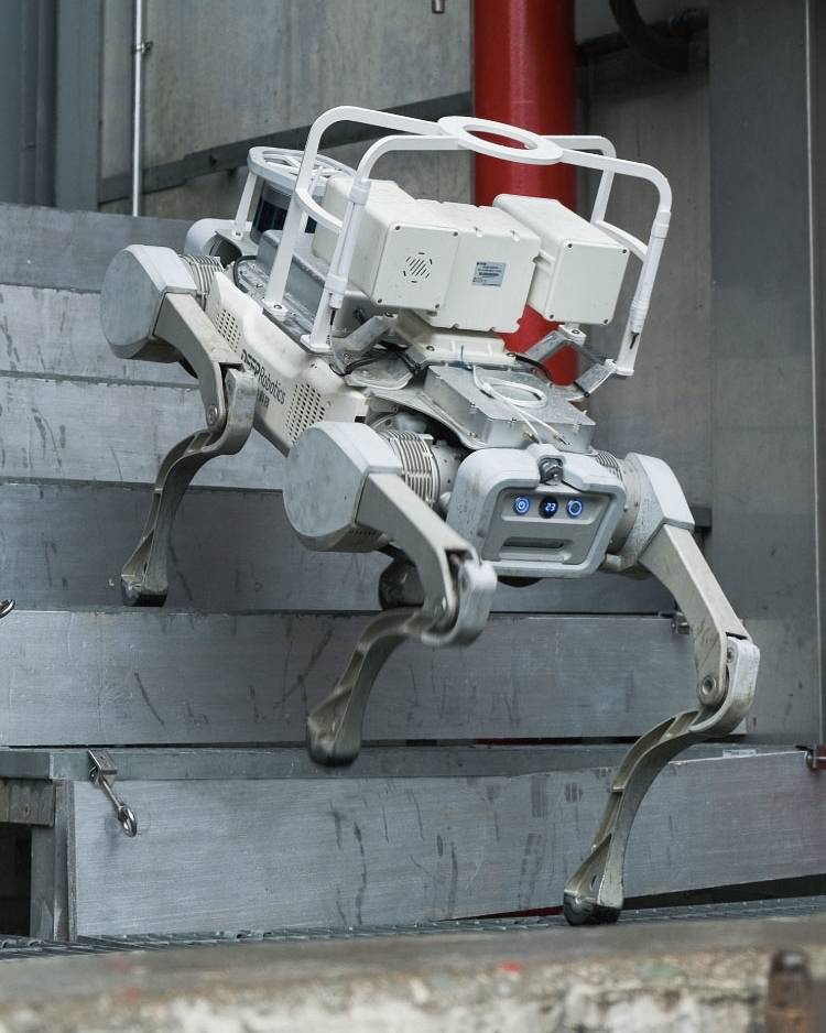 Le robot chien est modulable selon nos souhaits