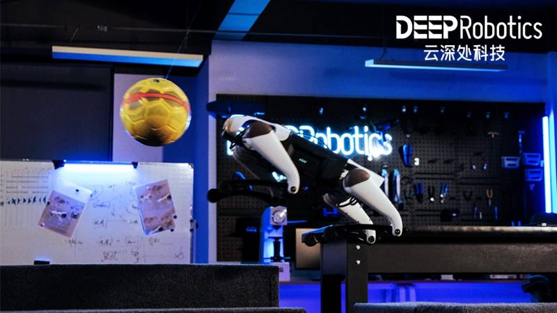 Robot Jueying Lite 3 en action